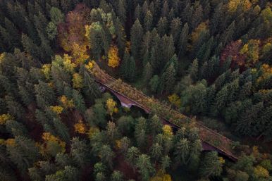 Alte Eisenbahnbrücke im Ringelsteiner Wald - Paul Budde